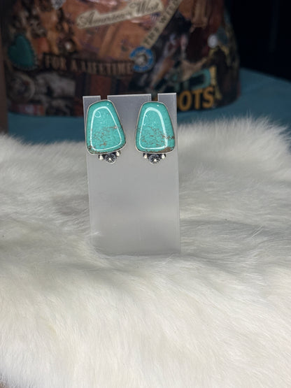 Tyrone Post Earrings