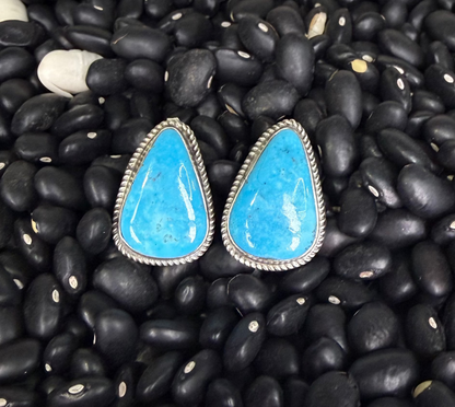 Kingman Earrings by Donovan Nez