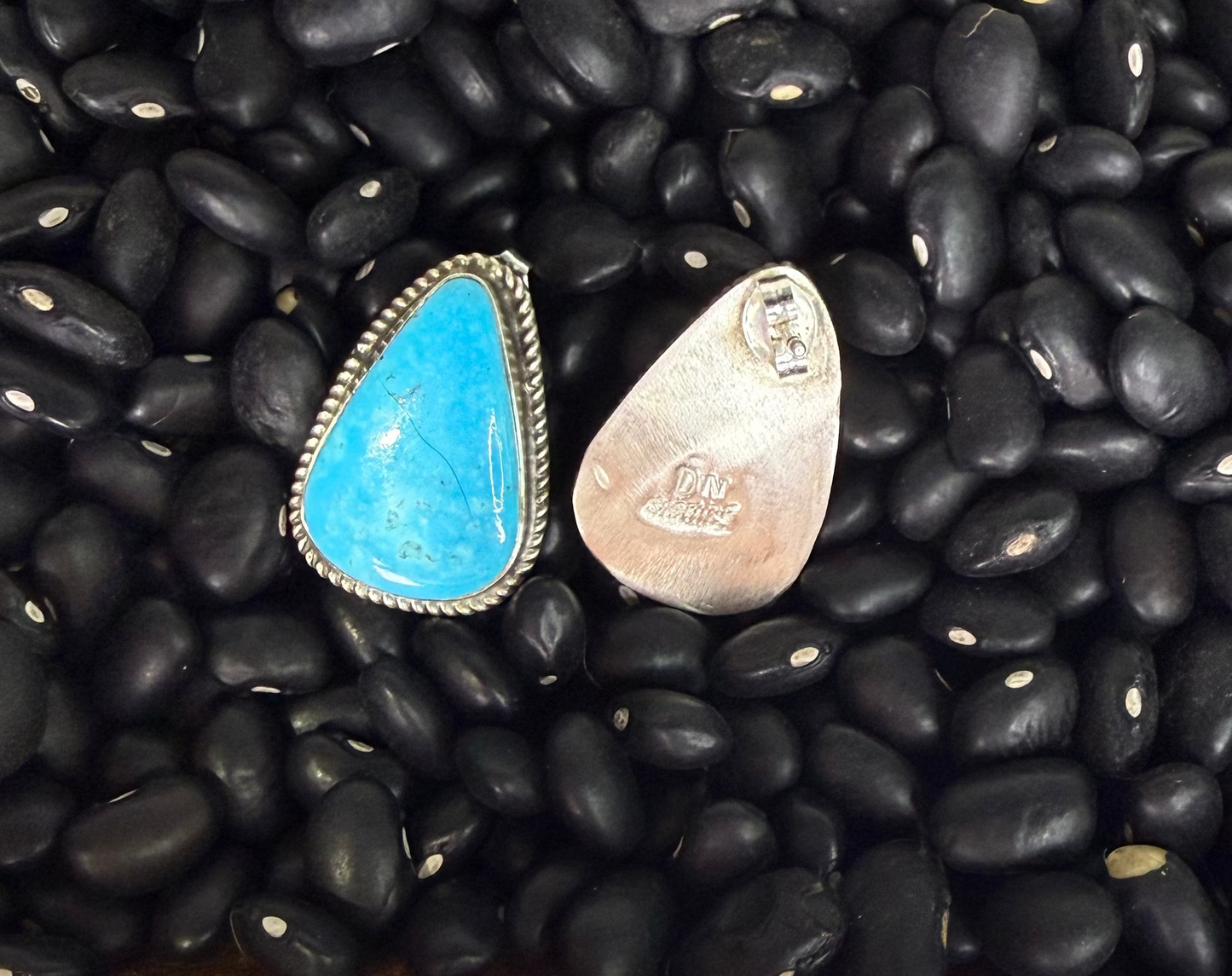 Kingman Earrings by Donovan Nez