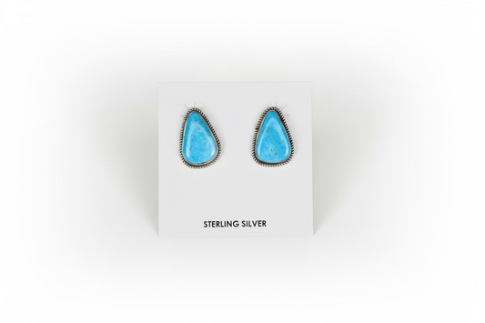Kingman Earrings by Donovan Nez