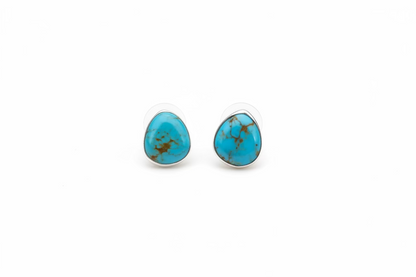 Turquoise Earrings by Gilbert Wilson